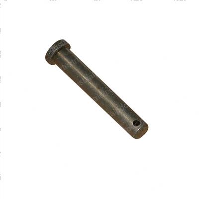 Picture of Pin - Chain Anchor