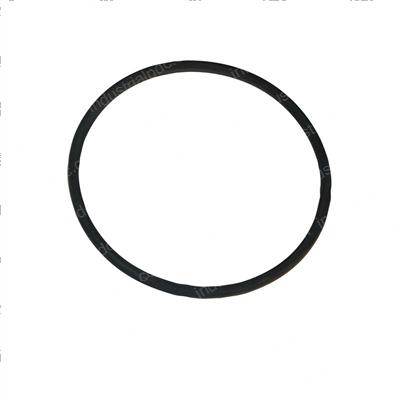 Picture of O-Ring