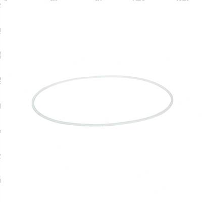 Picture of Ring - Backup