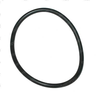 Picture of O-Ring