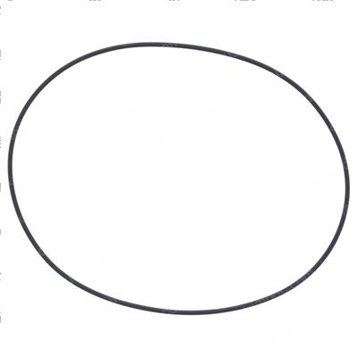 Picture of O-Ring