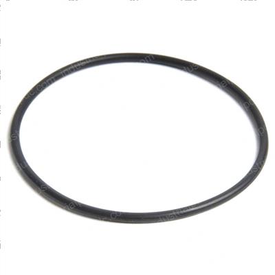 Picture of O-Ring