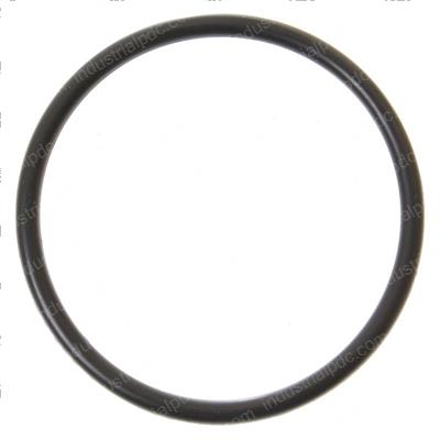 Picture of O-Ring