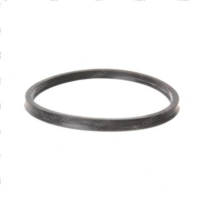 Picture of Seal - Ucup