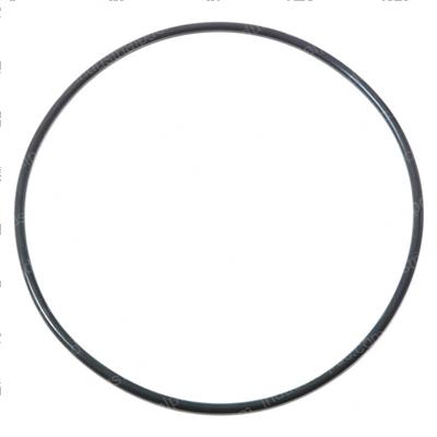 Picture of O-Ring