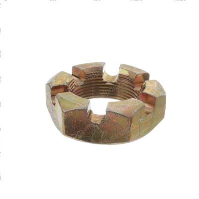 Picture of Nut - Slotted