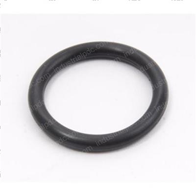 Picture of O-Ring