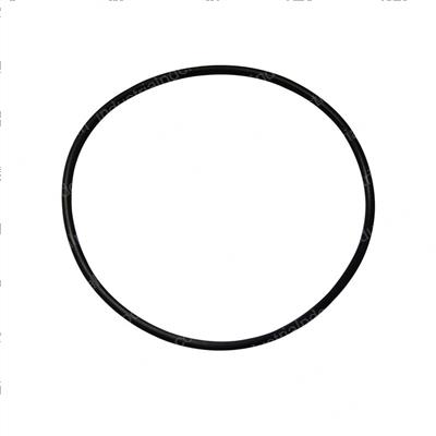 Picture of O-Ring