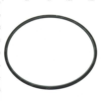 Picture of Seal