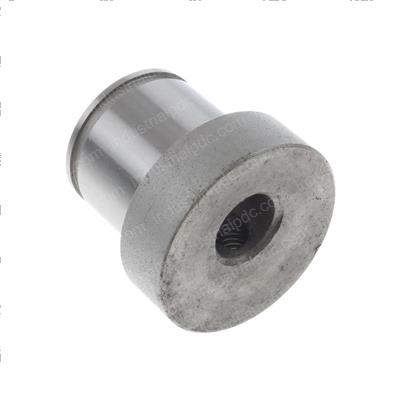 Picture of Shaft Eccentric