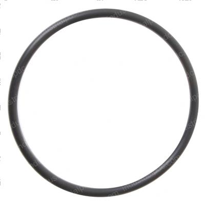 Picture of O-Ring