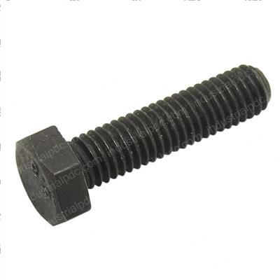 Picture of Bolt Hextg.c.c