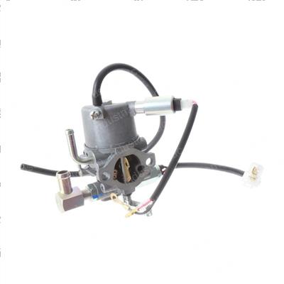 Picture of Carburetor Assembly