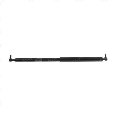Picture of Door Gas Strut