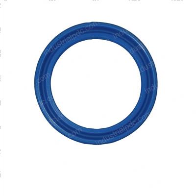 Picture of Seal - Ucup