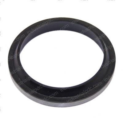 Picture of Seal