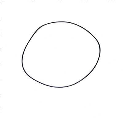 Picture of O-Ring