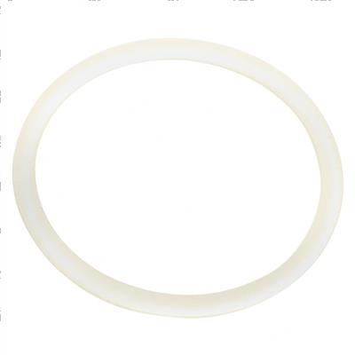 Picture of O-Ring