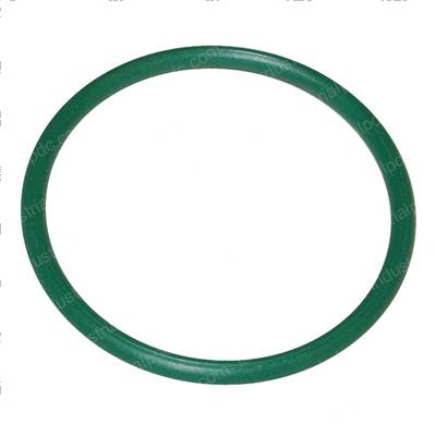Picture of O-Ring
