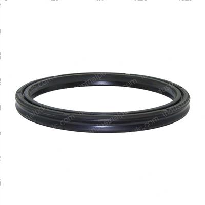 Picture of Seal