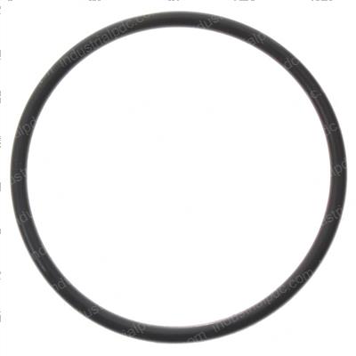 Picture of O-Ring
