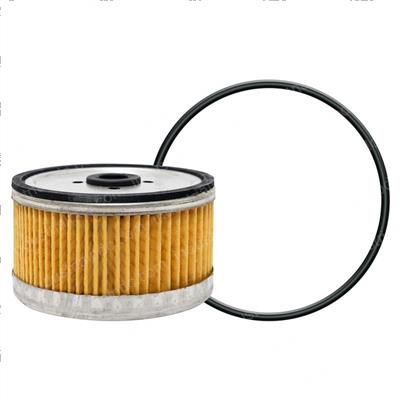 Picture of Filter - Fuel