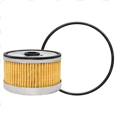 Picture of Filter - Fuel