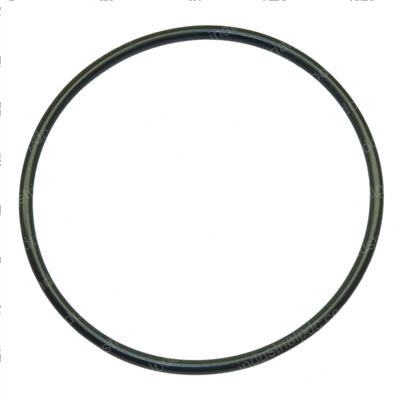 Picture of O-Ring