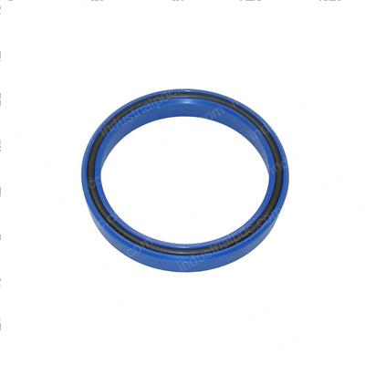 Picture of Seal