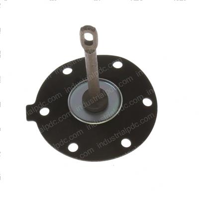 Picture of Diaphragm- Na