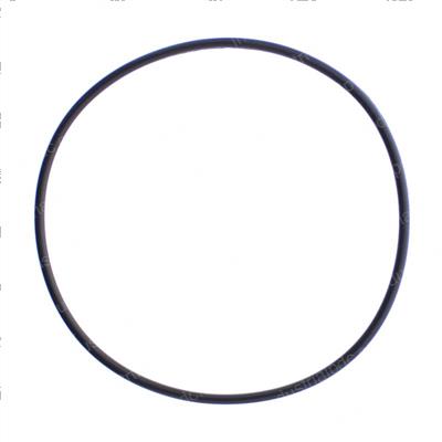 Picture of O-Ring