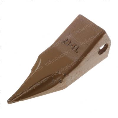 Picture of Tooth 5