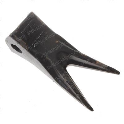 Picture of Tooth 5