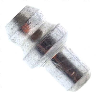 Picture of Nipple