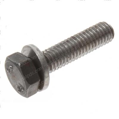 Picture of Bolt