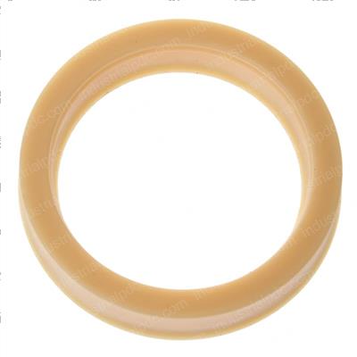 Picture of Seal