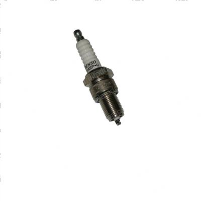 Picture of Plug - Spark