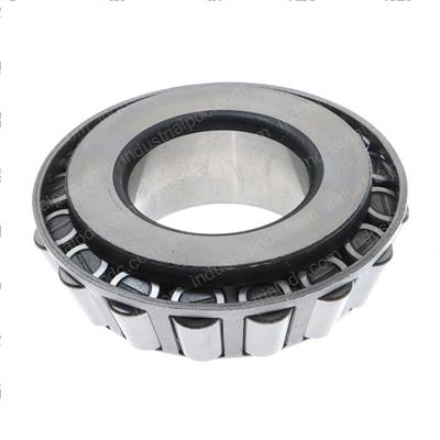 Picture of Cone-Bearing