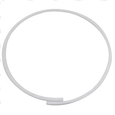 Picture of Ring -Back Up