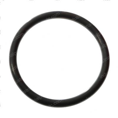 Picture of O-Ring