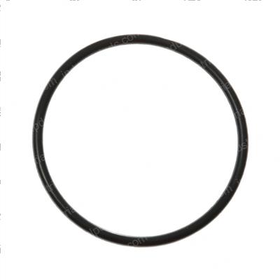 Picture of O-Ring