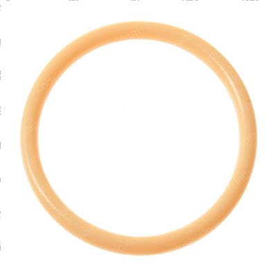Picture of O-Ring