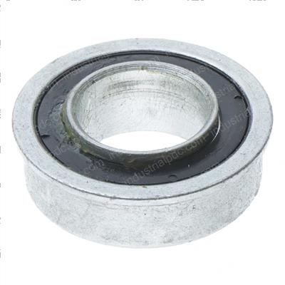 Picture of Bearing