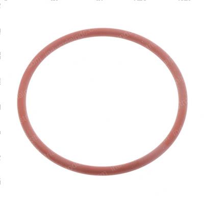Picture of O-Ring