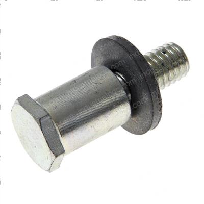 Picture of Bolt Stricker