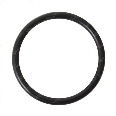Picture of O-Ring