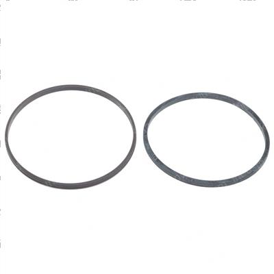 Picture of Seal - Nd