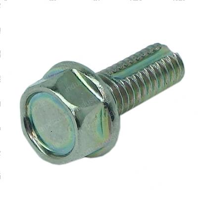 Picture of Bolt - Special