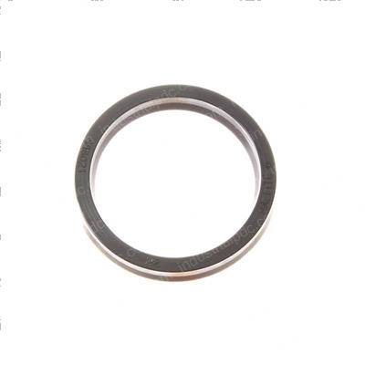 Picture of Seal -  Pin