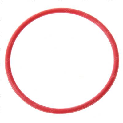 Picture of O-Ring